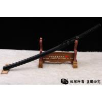 T10武藏