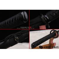 T10武藏