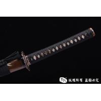 年年有鱼-特色地肌钢性能版