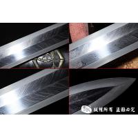 羽毛钢八面节节高福之剑 查长伟作品
