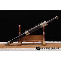 龙之影八面汉剑