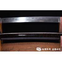 龙腾武藏