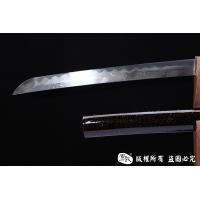 龙腾武藏
