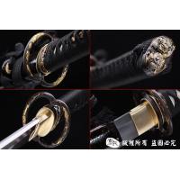 龙腾武藏