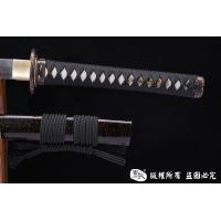 龙腾武藏
