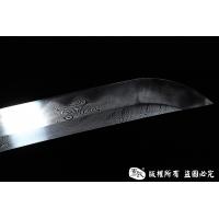 龙腾武藏