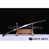 龙腾武藏