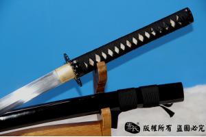 铁装信玄